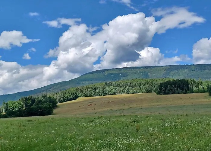 Hill 64 By Interhome Ferienhaus Černý Důl