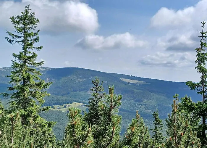 Hill 64 By Interhome Ferienhaus Černý Důl